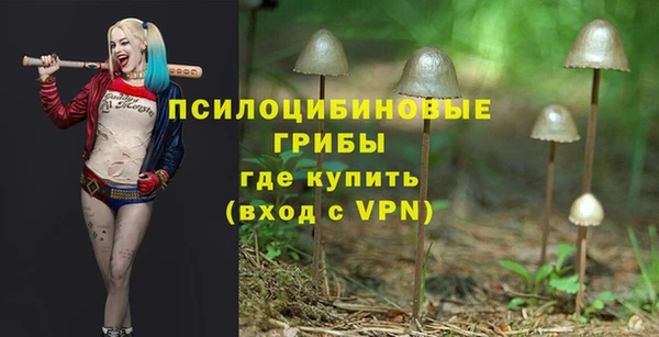 тгк Алексин
