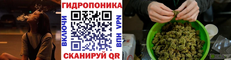 Каннабис ГИДРОПОН  Игра 